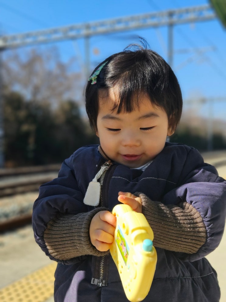 아기랑 청도 기차여행/ 청도 소싸움 경기장