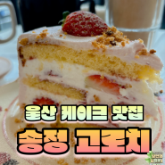 울산 송정 고로치 케이크 식사 후기