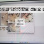 [남양주두피 남양주탈모 관리 / 셀비오 다산점] 다산두피관리 다산탈모관리 셀비오에서 얇은 모 고민 해결하고 왔어요 !