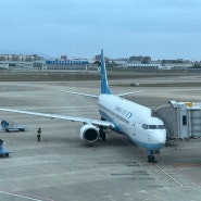 104. 샤먼항공 MF877 FOC-ICN 「푸저우-인천」 B737-800 탑승기