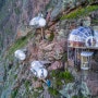 숨 막히는 풍경과 독특한 경험을 선사하는 숙소 Peru Cliff Hotel