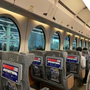 [오사카] 하루카 특급열차 vs 난카이 라피트 비교 (간사이공항~오사카/교토 가기)
