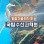 국립 수산 과학원 : 기장 아이와 가볼만한곳 아쿠아리움