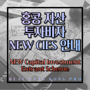 홍콩 새 투자비자 NEW CIES(New Capital Investment Entrant Scheme) 총정리 : 소개, 지원자격, 제출서류, 비자 연장 등