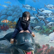 울산 장생포 고래박물관 생태체험관 고래문화마을(요금, 주차,식당정보)