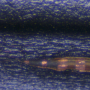 FPCB 현미경 확대관찰 접히는부분 코팅 벗겨짐 확대/HT003 1000배현미경 산업용비디오현미경 측정현미경 진짜배율