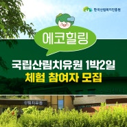 국립산림치유원 1박 2일 무료 체험 참여자 모집(에코힐링에 추억을 남길 기회까지!)