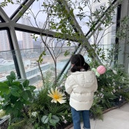 갤러리아 백화점 광교 구경, B1층 6층 8층 스카이브릿지