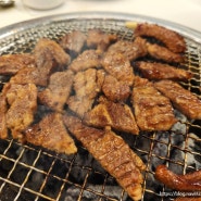 대구 서부정류장 맛집, 대명동 고기집 가든 아리랑