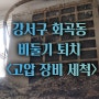 강서구 화곡동 비둘기 퇴치