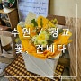 [수원/광교] 광교꽃집 꽃다발 후기_꽃,건네다