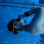 프리다이빙 마우스필 성공 후기👏 수심 30m 다이빙 성공👍
