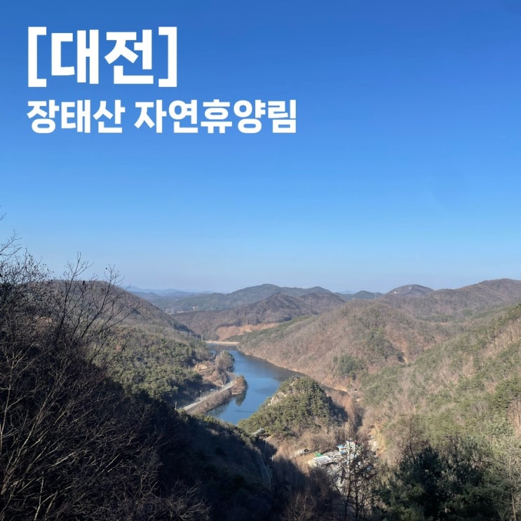 대전 여행 코스 장태산자연휴양림 산들에 휴게소 뚜벅이 버스...