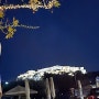 겨울 그리스여행 6일차2: 아테네의 밤, 아크로폴리스야경