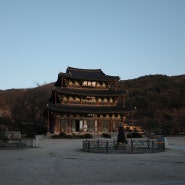 리코 GR3 전주 여행과 김제 금산사 템플스테이