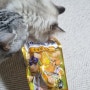 [내돈내산]고양이간식 차오츄르 비츠 닭가슴살 퓨레 소시지