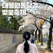 경주 대릉원돌담길 벚꽃축제 (3월 29일~31일 행사 일정 및 주차 안내)