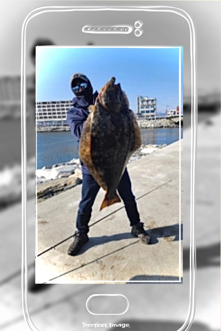 강원도 강릉서 1.18m, 20kg 대형 광어(넙치) 잡혀‘… : 네이버 블로그