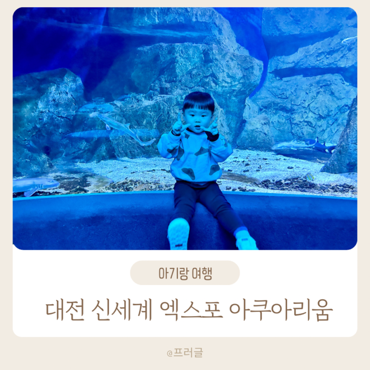 대전 신세계 백화점 엑스포 아쿠아리움 할인 가격 공연 후기
