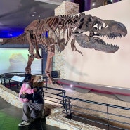 해남 아이와 가볼만한곳 해남공룡박물관 / 해남실내가볼만한곳 날씨 안좋을때 최고!
