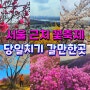 서울 근교 봄 꽃축제 당일치기 여행 가볼만한곳