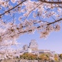 일본(日本) 고베(神戸) 벚꽃(さくら)여행 3일차 1-1.히메지성(姫路城)
