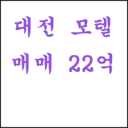 신탄진 대덕산업단지인근 리모델링용 대전모텔매매!
