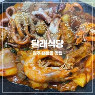 [강원/원주] 원주 태장동 맛집 달래식당: 현지인 추천 낙지등갈비찜(묵은지등갈비찜도 추천!)