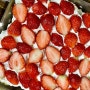 노슈가 노오븐 딸기 생크림 케이크 만들기 무화당 카스테라와 스테비아 제로 설탕 생크림