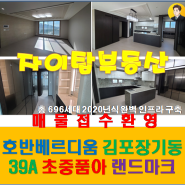 김포 장기동 호반베르디움 더퍼스트 아파트 부동산