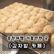 춘천 감자밭 카페 감자빵, 옥수수빵, 고구마빵 포장 후기