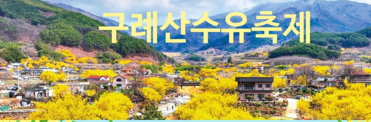 구례산수유축제 축제 가수 박서진 요요미 구례벚꽃