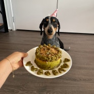 강아지 케이크 만들기 | 강아지 케이크 레시피