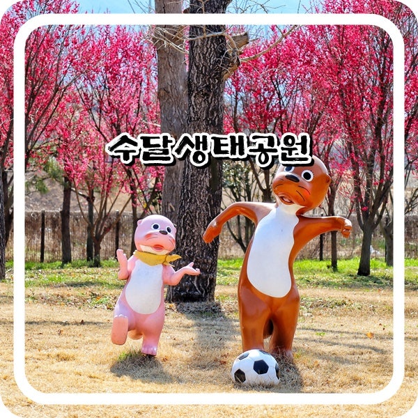 구례 섬진강 수달생태공원 홍매화 수양매화 트리타워 전망대