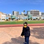 소문내고 싶은 서귀포 초등학교 병설유치원