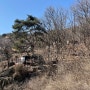 경기도 양평 백운봉 자연 휴양림 캠핑장 사이트 둘러보기