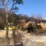 서울 근교 양평 에어비앤비 독채 펜션 고요한 산속의 집 후기