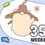 임신 35주차 :: 증상 / 방울토마토 수확 / 제철 과일의 소중함 / 핫도그샐러드빵
