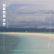 [강릉여행] 맛집 추천 +아르떼뮤지엄