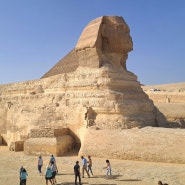 이집트 여행 (카이로 피라미드,스핑크스,고고학박물관)