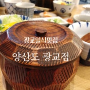 광교 양산도 히츠마부시(장어덮밥), 사케동 맛집~