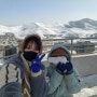 노랑풍선 패키지로 갔다온 겨울 몽골여행(2)_1일차(겨울 날씨와 옷차림, 가이드미팅, 울란바토르 투어)
