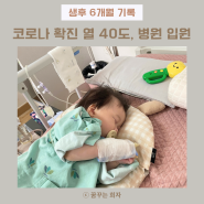 6개월 아기 | 코로나확진 열 40도, 웰봄병원 입원 (자가키트 검사 방법)