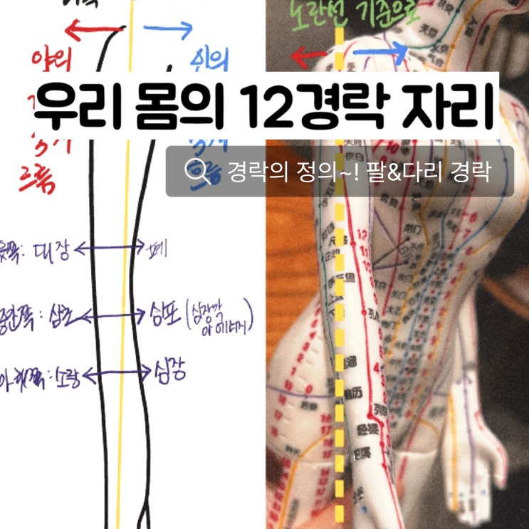 우리몸 12경락에 대해서 알아보기 | 팔 경락 | 다리 경락 | 혈자리 meridian method | meridian ...