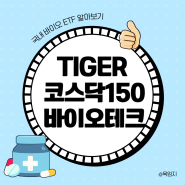 국내 바이오 ETF, TIGER 코스닥150바이오테크 주가 알아보기