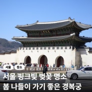 3월 봄에 가기 좋은 경복궁 나들이