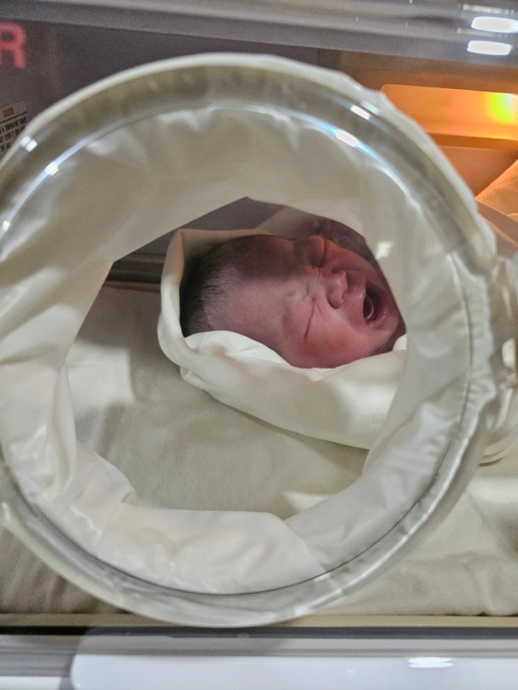 [출산후기] 부천서울여성병원 제왕절개 출산후기 : 네이버 블로그