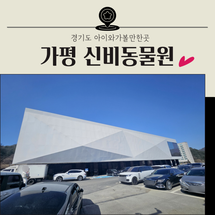 경기도 아이와가볼만한곳 주말나들이 가평 신비동물원