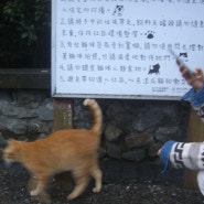 대만 여행일지 & 룩북 - 타이페이,시먼딩,후통 고양이마을,스펀 연등날리기,지우펀,동취 (photo dump🎞️)