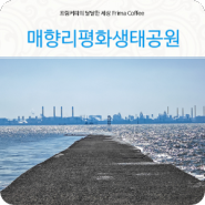 경기도 화성가볼만한곳 매향리 평화생태공원